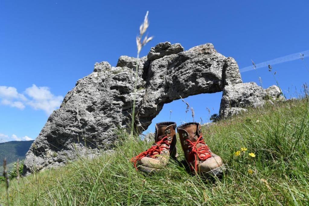Appartamento Bienvenue Dans Le Chartreuse 2 A 6 Couchages Cholonge Esterno foto