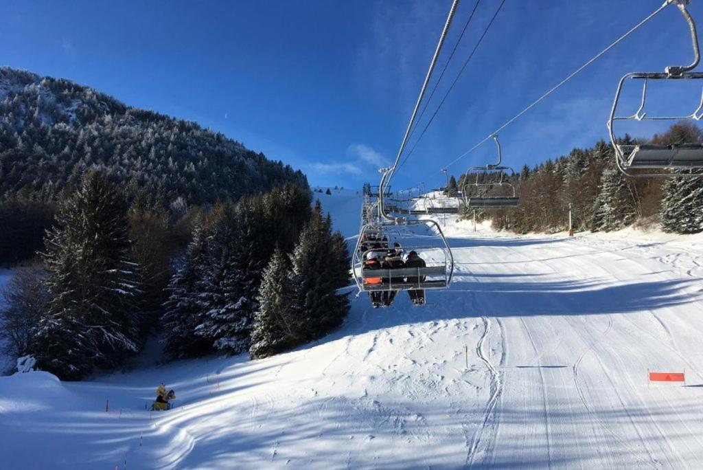 Appartamento Bienvenue Dans Le Chartreuse 2 A 6 Couchages Cholonge Esterno foto