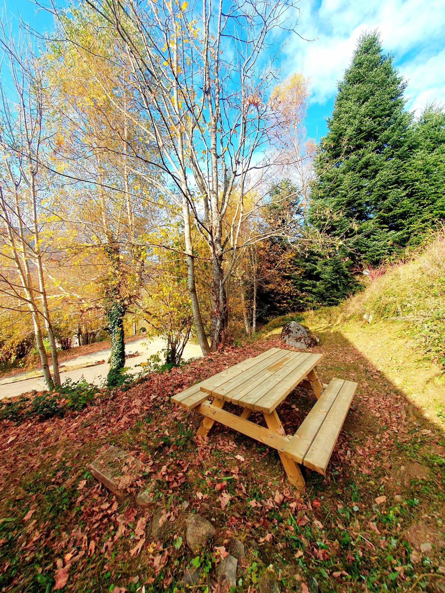 Appartamento Bienvenue Dans Le Chartreuse 2 A 6 Couchages Cholonge Esterno foto